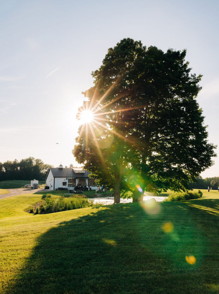 Wedding at Jacob's farm, sunlight shining through trees