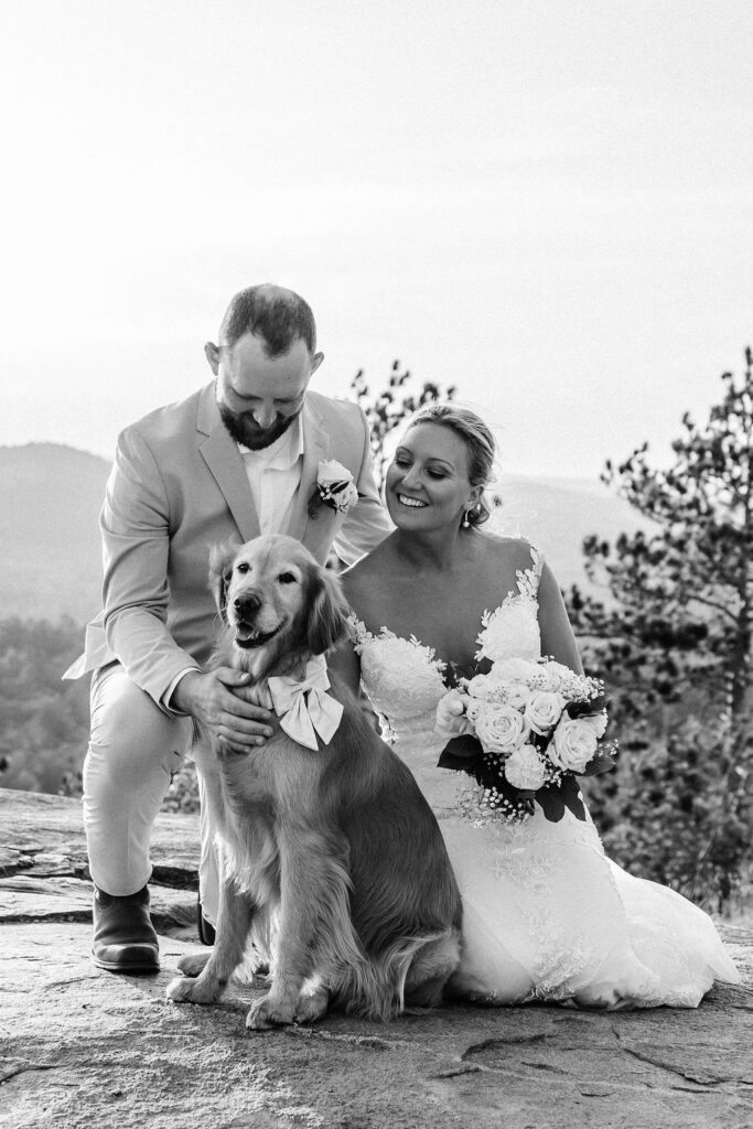 Newlywed couple kneeling down to put golden retriever dog wearing a bow